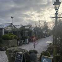 A garden retail escape 