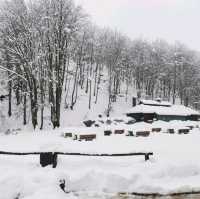 Plitvice full day tour