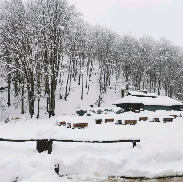 Plitvice full day tour