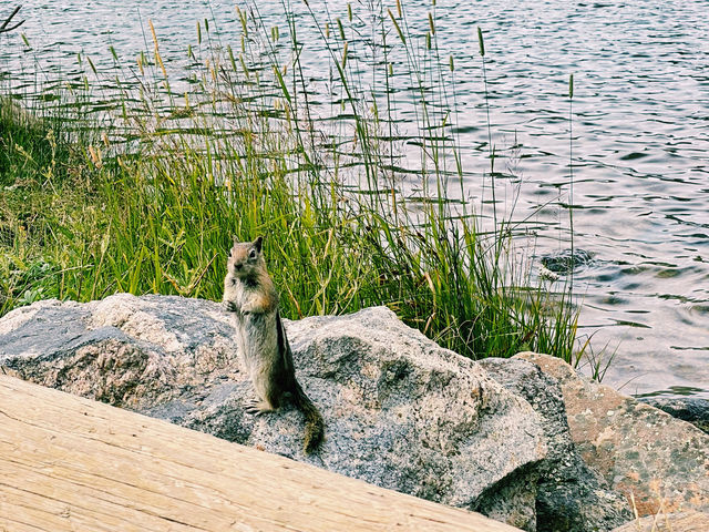 Estes Park – The Ultimate Theme Park in the Rockies! 🏔️  