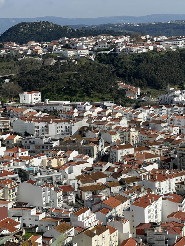 🇵🇹 처음보는 신비로운 파도의 모양! 