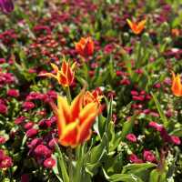 Spring into Bloom