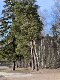 Helsinki Day Trip Itinerary