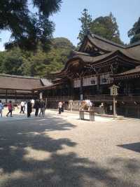 Ogami Shrine with the divine body of Miwayama