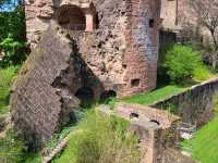 Highlights in Heidelberg