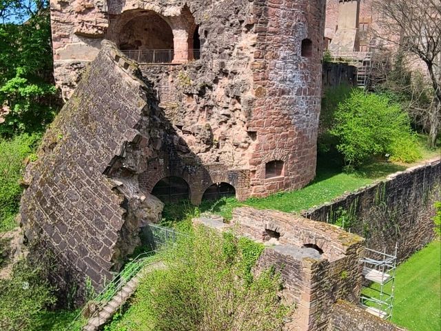 Highlights in Heidelberg