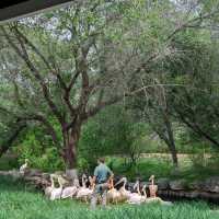 Beijing Wildlife Park from Daxing airport