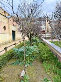 Garden to Gothic Day