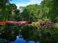 Whispers of Spring: A Stroll Through Isabella Plantation