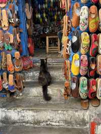 Essaouira in Morocco is a real paradise for seafoodlover