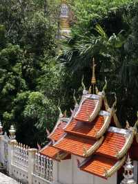 Thailand's Beauty in the North! 🇹🇭