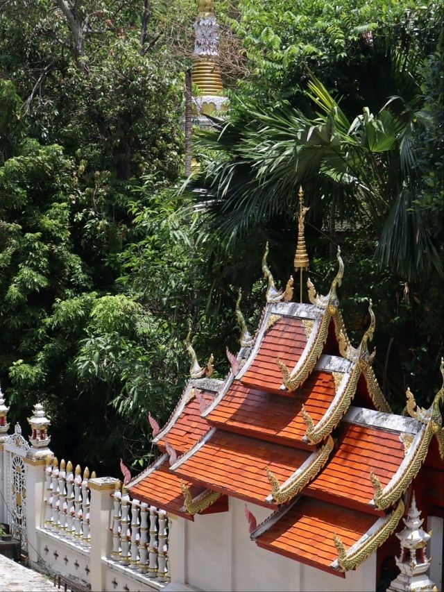 Thailand's Beauty in the North! 🇹🇭