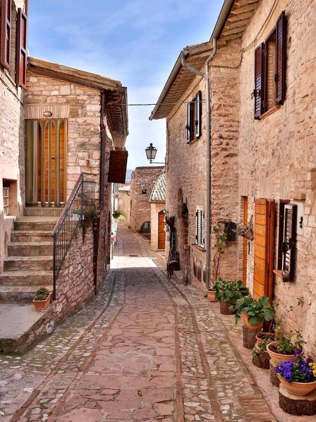  Whispers Among the Olive Trees – Collepino, Italy