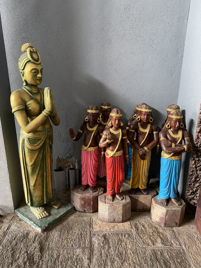 🌴 Hikkaduwa, Sri Lanka – A Vibrant Coastal Escape with Soul