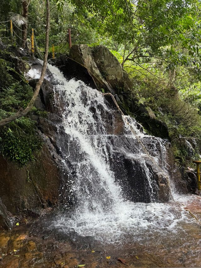 Янода Тропический парк (Хайнань) Янода Тропический парк (Хайнань)