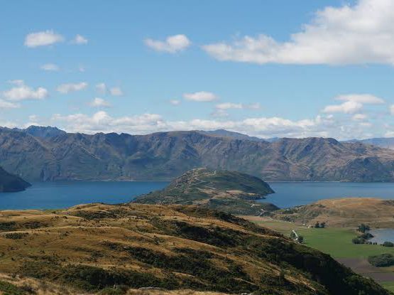 觀鳥天堂～納庫魯國家公園