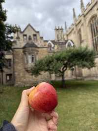 🏛️ Cambridge: A Day Among Dreaming Spires and Timeless Traditions