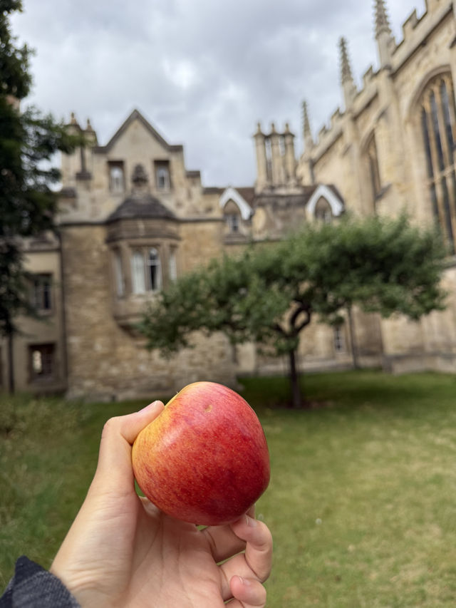 🏛️ Cambridge: A Day Among Dreaming Spires and Timeless Traditions