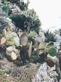 Eze | The nice botanical garden near Nice 