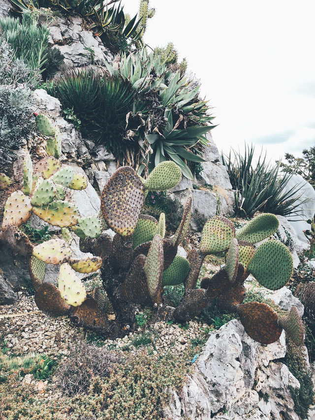 Eze | The nice botanical garden near Nice 