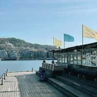 Oslo on a Budget: Fjords, Parks & Local Adventures