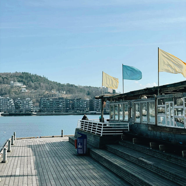 Oslo on a Budget: Fjords, Parks & Local Adventures Oslo on a Budget: Fjords, Parks & Local Adventures