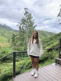 Tea With a View: Why the BOH Tea Centre is Worth the Trip