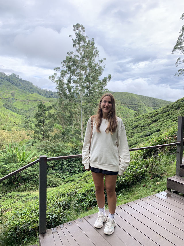 Tea With a View: Why the BOH Tea Centre is Worth the Trip