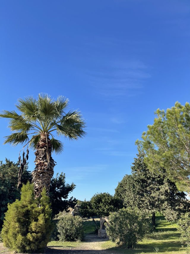 🌅 Paphos – Timeless Beauty by the Sea 🌊✨