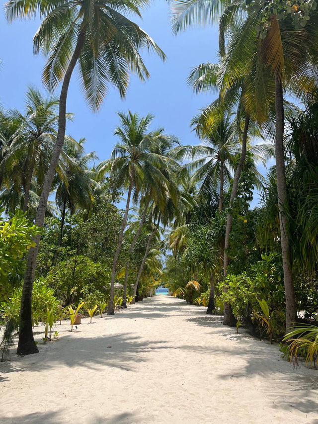 Nakai Maayafushi (Ex.Maayafushi Tourist Resort)