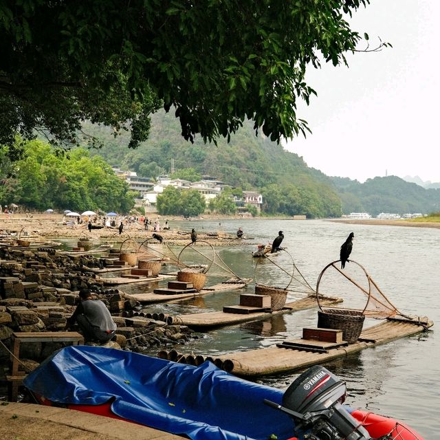 Li River Views in Yangshuo 🌄🚤✨ Li River Views in Yangshuo 🌄🚤✨