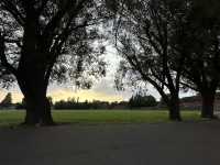 🌳 Discover Roundwood Park, Brent – A Hidden Green Gem in London! 🌳