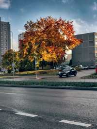 Vilnius: Europe's Largest UNESCO Old Town (360 Hectares of Baroque Splendor)