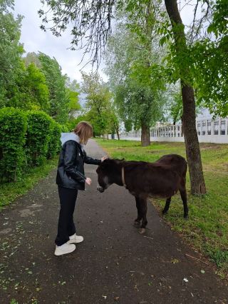 Brest Park of Culture and Recreation — the green heart of the city.