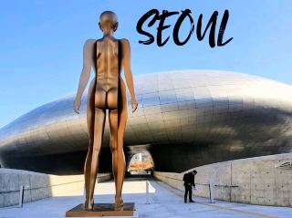 Seoul: It has history, delicious food and Beautiful Gardens