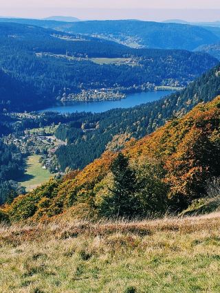 Autumn Escape in the Vosges 🇨🇵