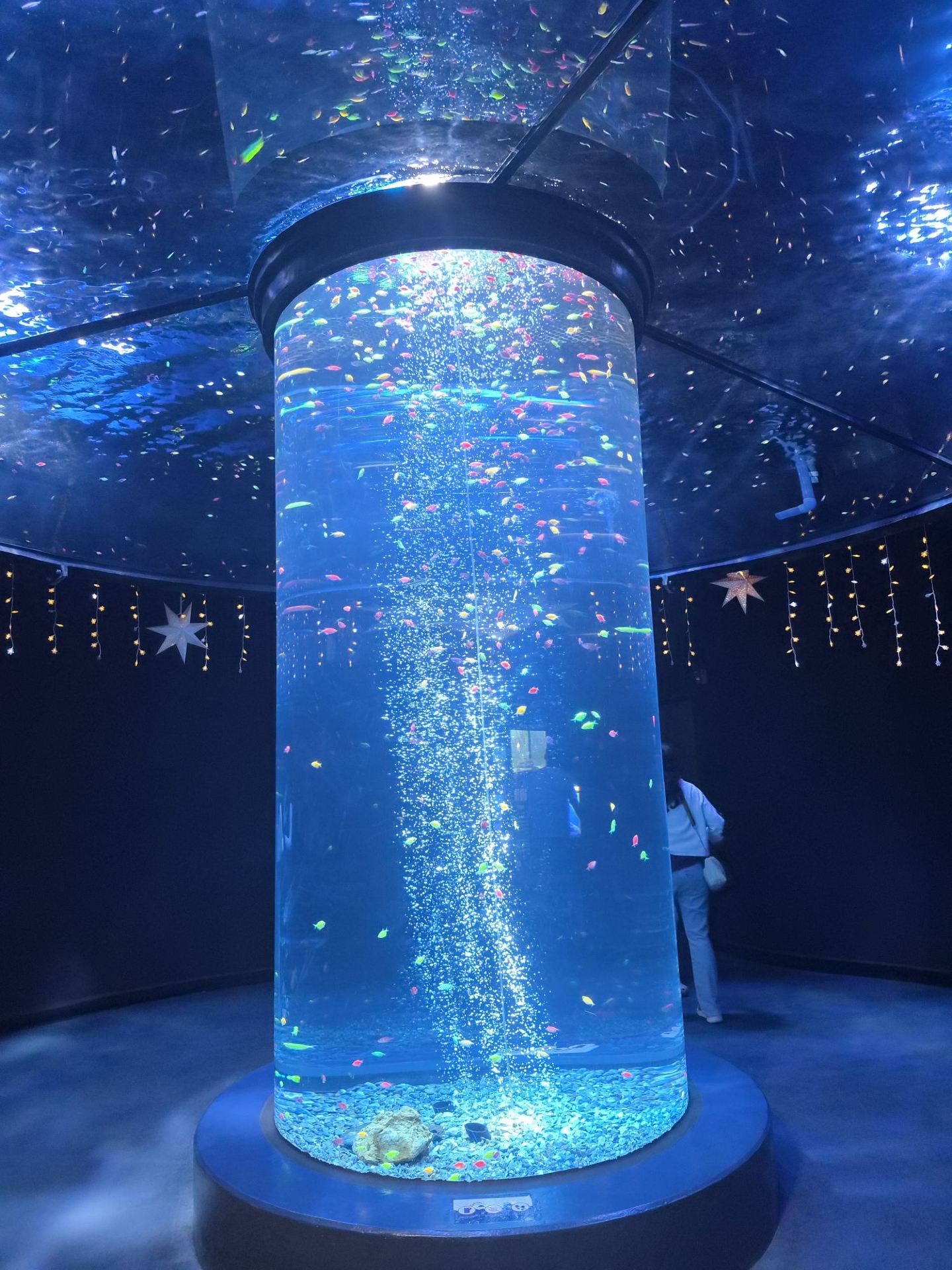 Exploring Lotte World Aquarium Hanoi: A Memorable Visit