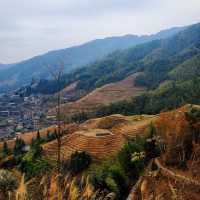 Longji Dragon’s Rice Terraces 🐉 