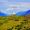 Volunteer traveller