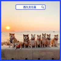 香港日落打卡位🌅市區｜海邊｜山上 