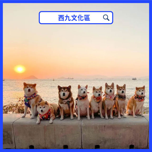 香港日落打卡位🌅市區｜海邊｜山上 