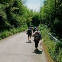 Silver hiking qualification DeO trip in Moganshan