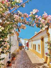 Portugal's "Golden Cliff Coast" | 🌊Algarve