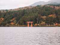 遊箱根🇯🇵蘆之湖