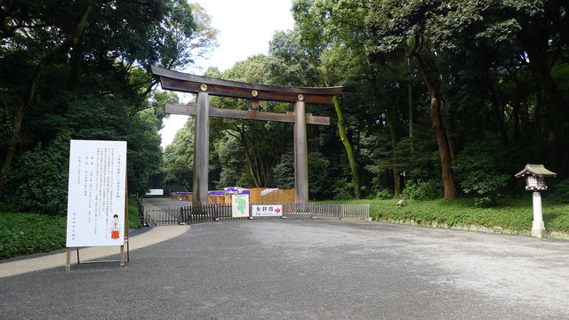 東京核心區最大的都市綠地——明治神宮