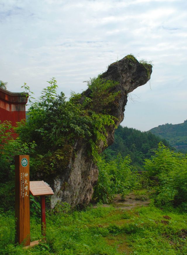 川東小九寨——賨人谷，悠悠綠水，天然氧吧