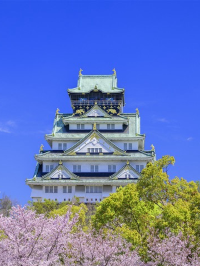 🌸 Must Experience! The most romantic cherry blossom parade tour in Osaka! Stunning views not to be missed!