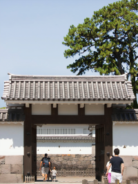 Find Serenity at Odawara Castle 🍵