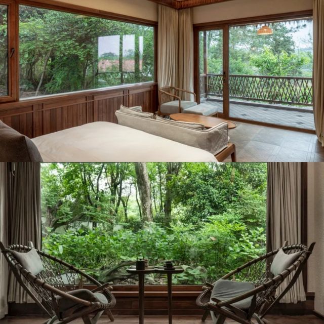 住進了安吉簾青鄉村酒店