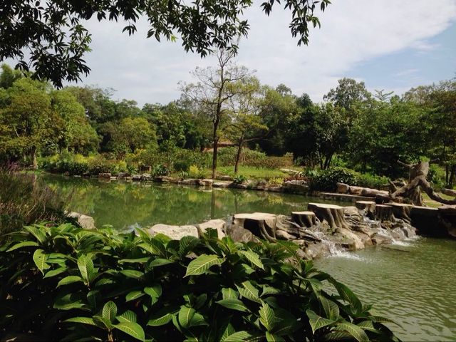 世界最大的藥用植物園!原來就在廣西!